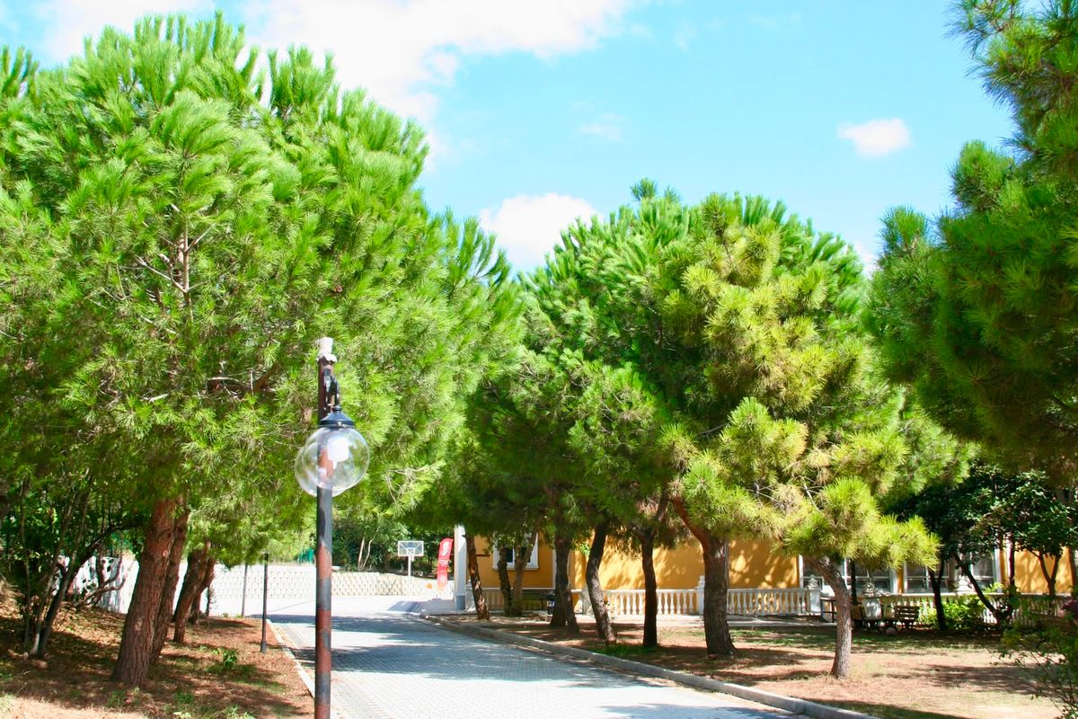 Koşuyolu Kampüsü
